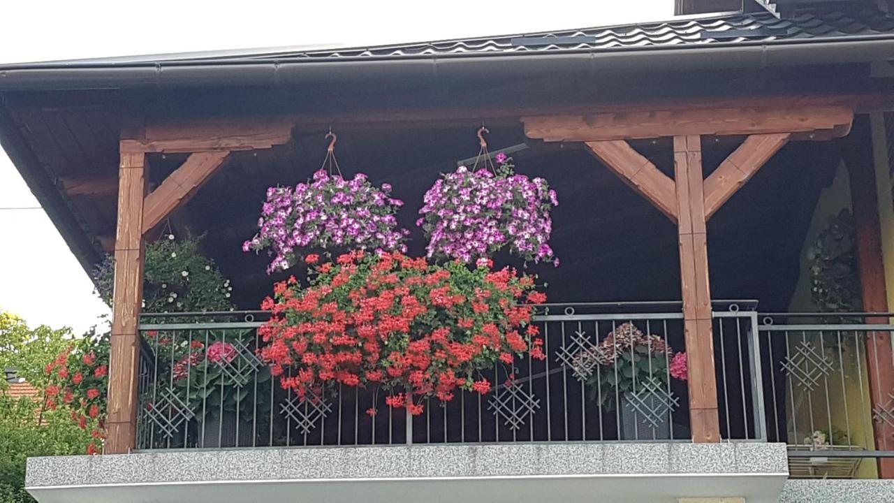 Apartmani Ksenija Krapinske Toplice Exterior photo